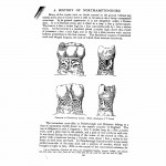 Fig A27 CASTOR SAXON CROSS BASE sml